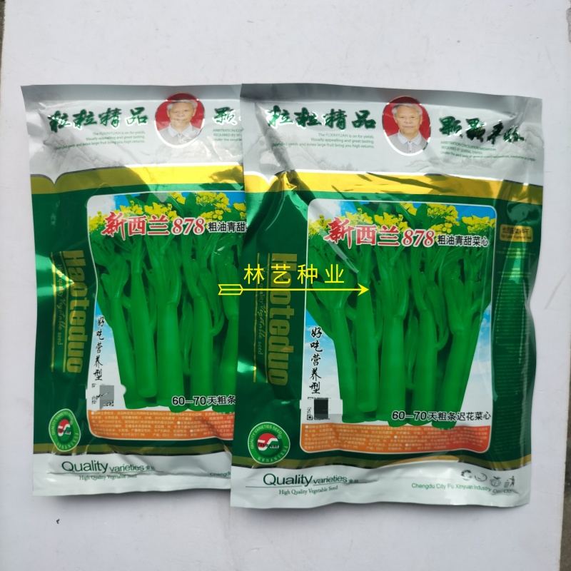 新西兰878油青甜菜心种子口感好油绿粗条高产抗病