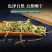 正品透骨草10g克野生透骨草粉中药草药泡脚珍珠透骨草