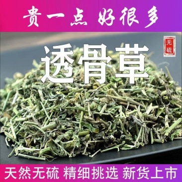 正品透骨草10g克野生透骨草粉中药草药泡脚珍珠透骨草