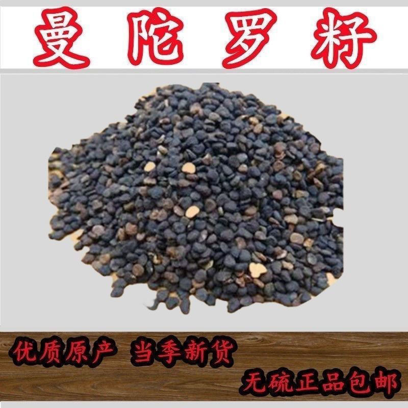 中药材曼陀罗籽种子野生醉葡萄天茄子胡茄子风茄果曼陀螺