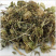 中药材野生灯笼草打卜草打额泡天泡草黄灯笼黄姑娘灯新笼草粉包邮