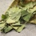 银杏叶中药材特级干银杏叶银杏叶茶100g500g1000g散