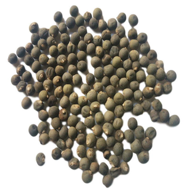 秋葵子中药材黄秋葵子秋葵籽新货秋葵子黄秋葵250g500g1