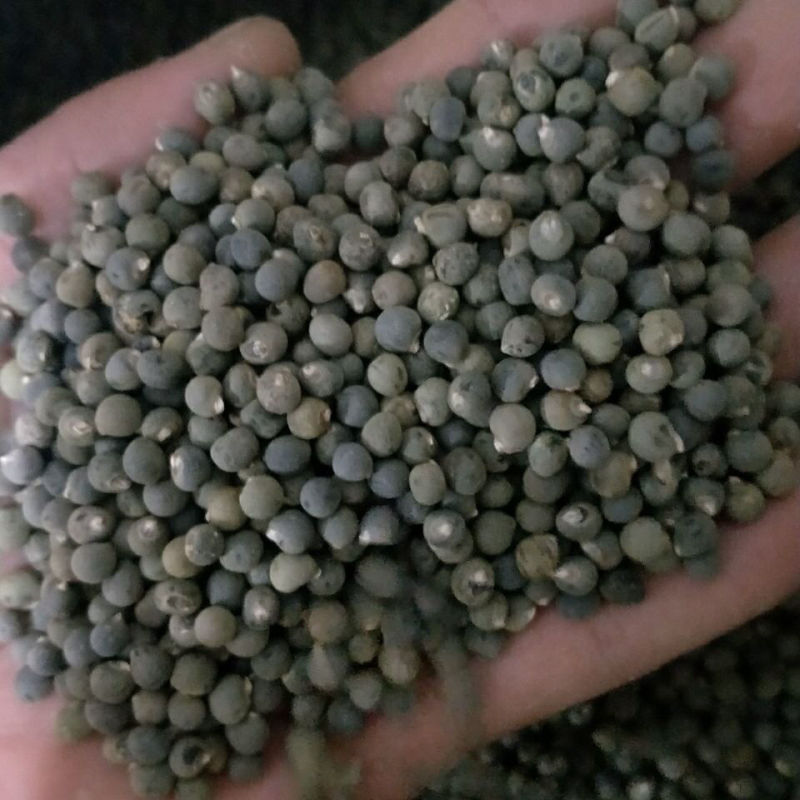 秋葵子中药材黄秋葵子秋葵籽新货秋葵子黄秋葵250g500g1
