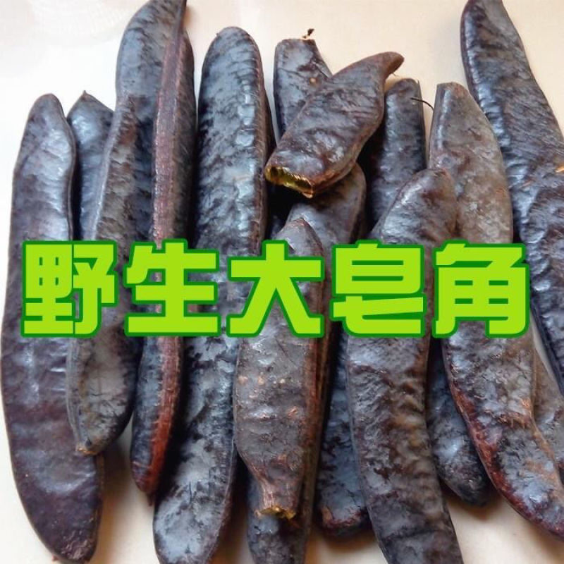 野生大皂角长皂角皂荚粉天然洗发防脱黑发皂角段包邮新货选装精品