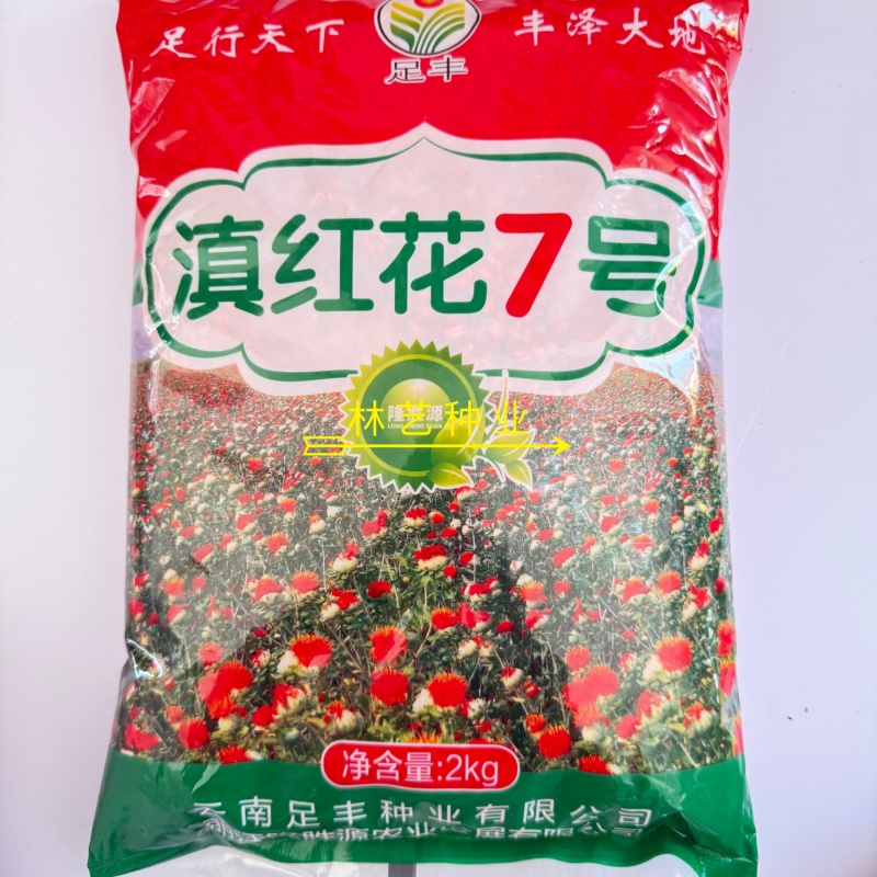 滇红花7号红花种子大花无刺花丝长耐寒耐瘠产量高药材种籽