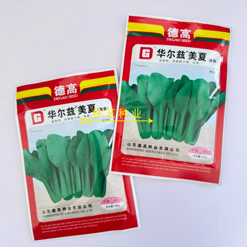 华尔兹美夏青梗菜种子耐热耐湿性强易捆扎耐运输大田基地专用