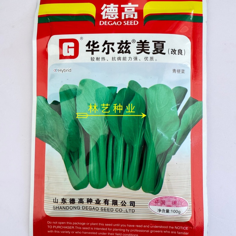 华尔兹美夏青梗菜种子耐热耐湿性强易捆扎耐运输大田基地专用
