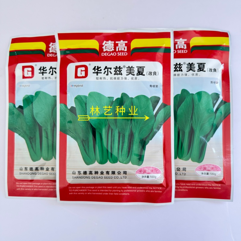 华尔兹美夏青梗菜种子耐热耐湿性强易捆扎耐运输大田基地专用