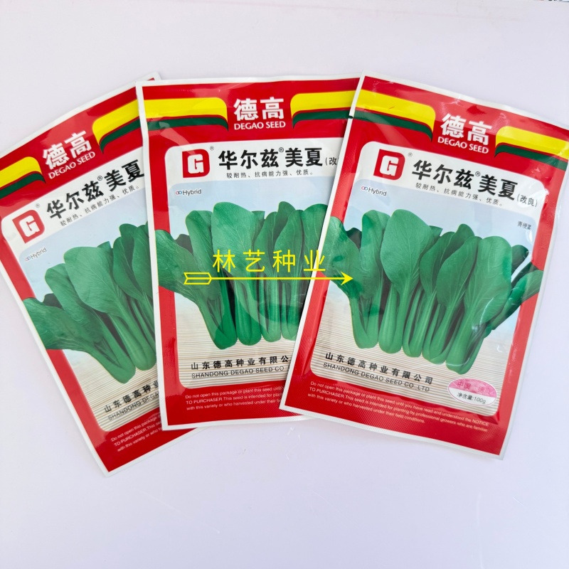 华尔兹美夏青梗菜种子耐热耐湿性强易捆扎耐运输大田基地专用