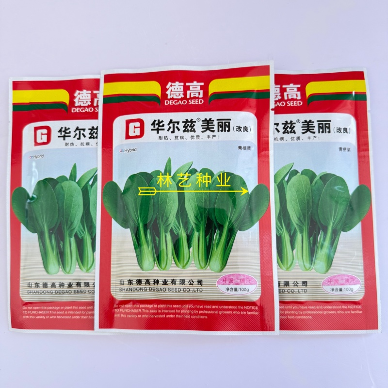 华尔兹美丽青梗菜青菜种子高产耐热耐湿油亮上海青种子原