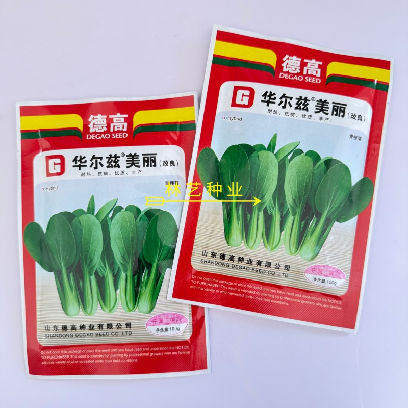 华尔兹美丽青梗菜青菜种子高产耐热耐湿油亮上海青种子原