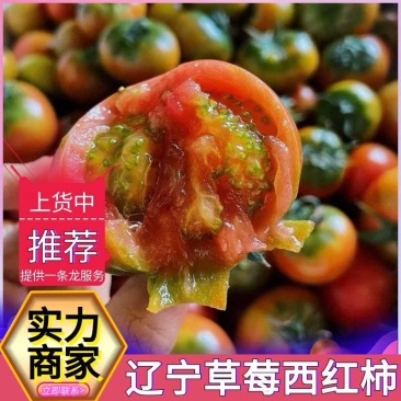 草莓柿子&碱地柿子&草莓西红柿/口感好质量优/可全国发货