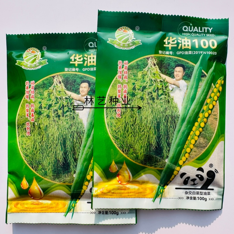 华油100原装正品高产油菜种子菜种新品种油菜籽北方菜籽种