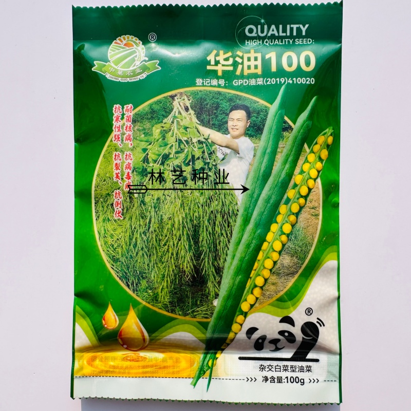 华油100原装正品高产油菜种子菜种新品种油菜籽北方菜籽种