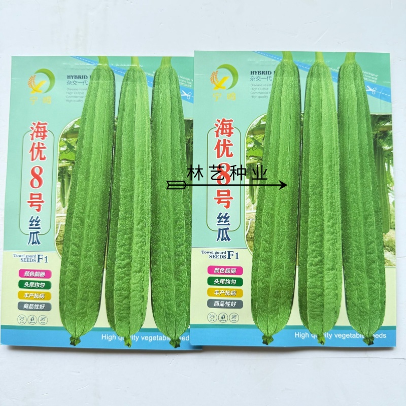 海优8号棱角丝瓜种子杂交抗病耐湿花点丝瓜种子瓜皮翠绿
