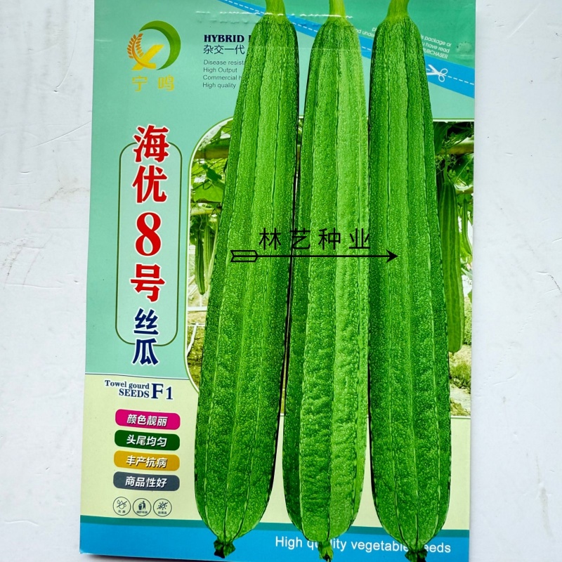 海优8号棱角丝瓜种子杂交抗病耐湿花点丝瓜种子瓜皮翠绿