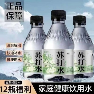 天然苏打水饮料300毫升×12瓶