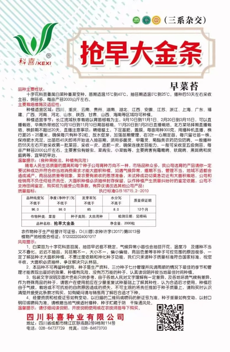 菜苔种子抢早大金条早熟45天白菜苔色白苔粗发苔力强