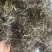 天青地白野生天青地白草品质好，新货供应干度足