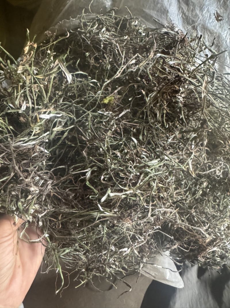 天青地白野生天青地白草品质好，新货供应干度足