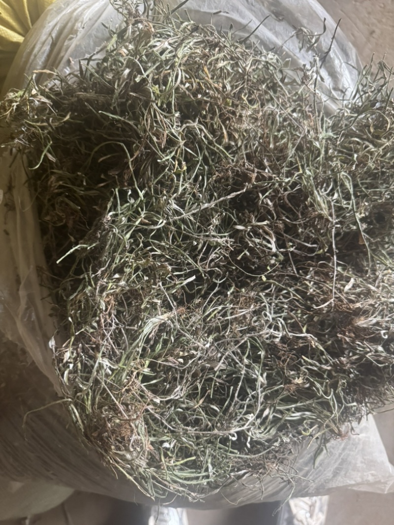 天青地白野生天青地白草品质好，新货供应干度足