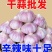山东大蒜
