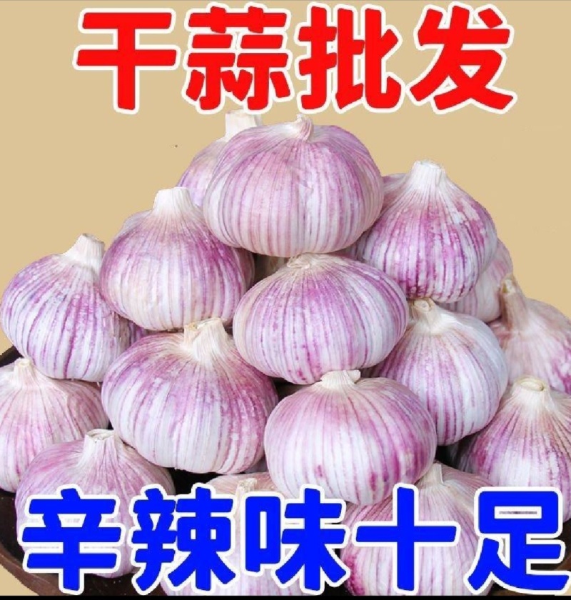 山东大蒜