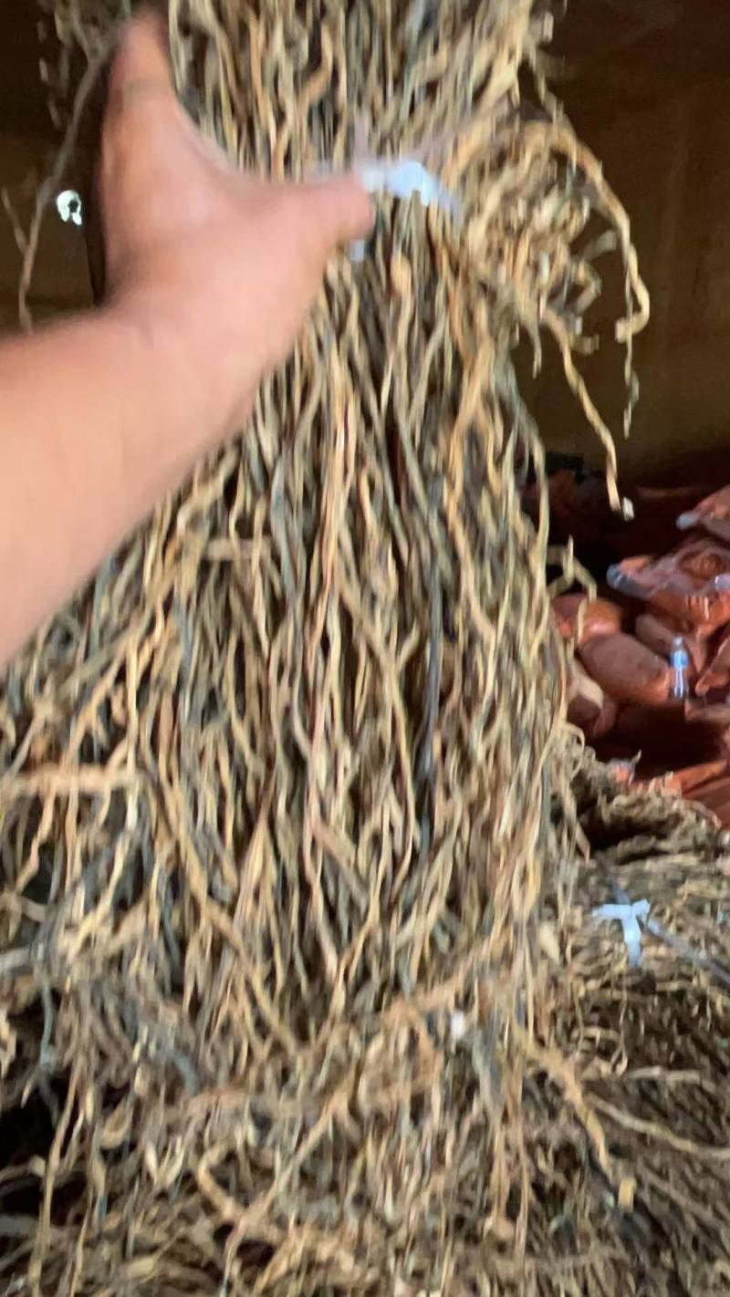 豆角晒条货源充足一手货源量大从优诚信经营欢迎咨询