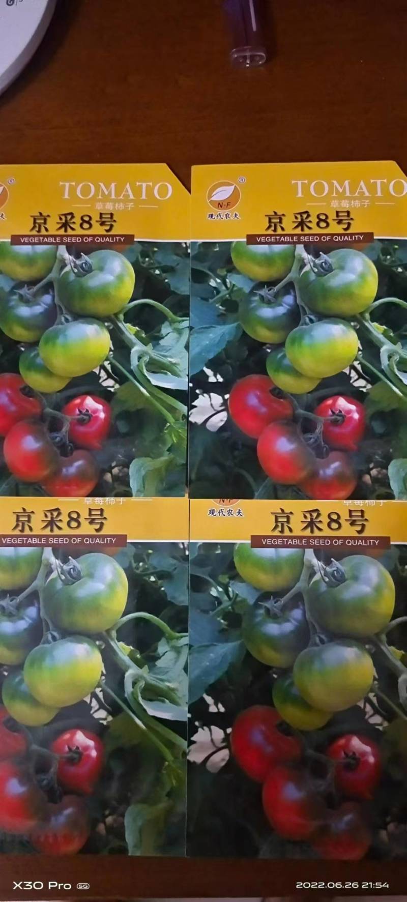 草莓西红柿苗沙瓤番茄苗抗病毒耐寒抗热量大优惠提供种植技术