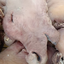 带皮牛头肉，纯手工退毛，刀削工艺，全面大量现货
