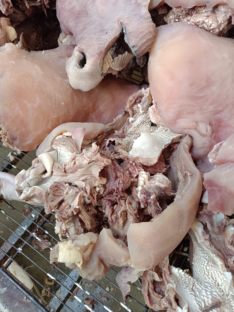 带皮牛头肉，纯手工退毛，刀削工艺，全面大量现货