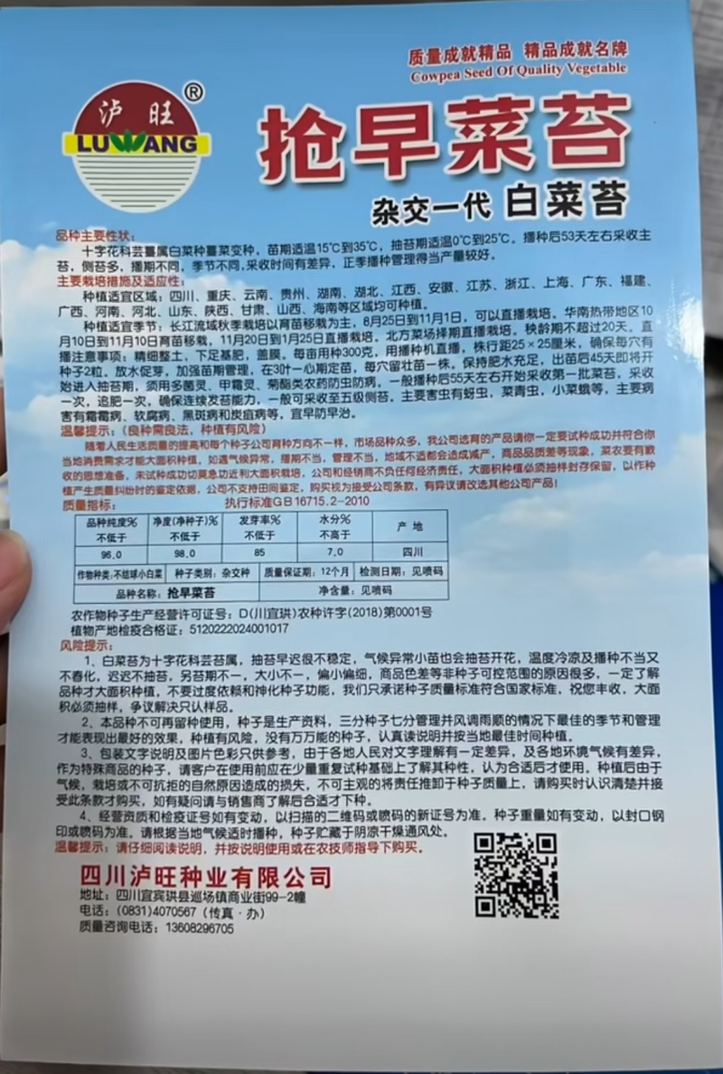 菜苔种子抢早菜苔早熟小叶亮白苔粗侧苔多品质好播期长