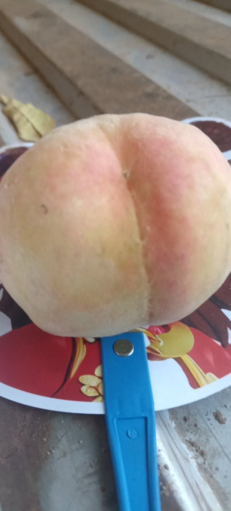 红不软桃