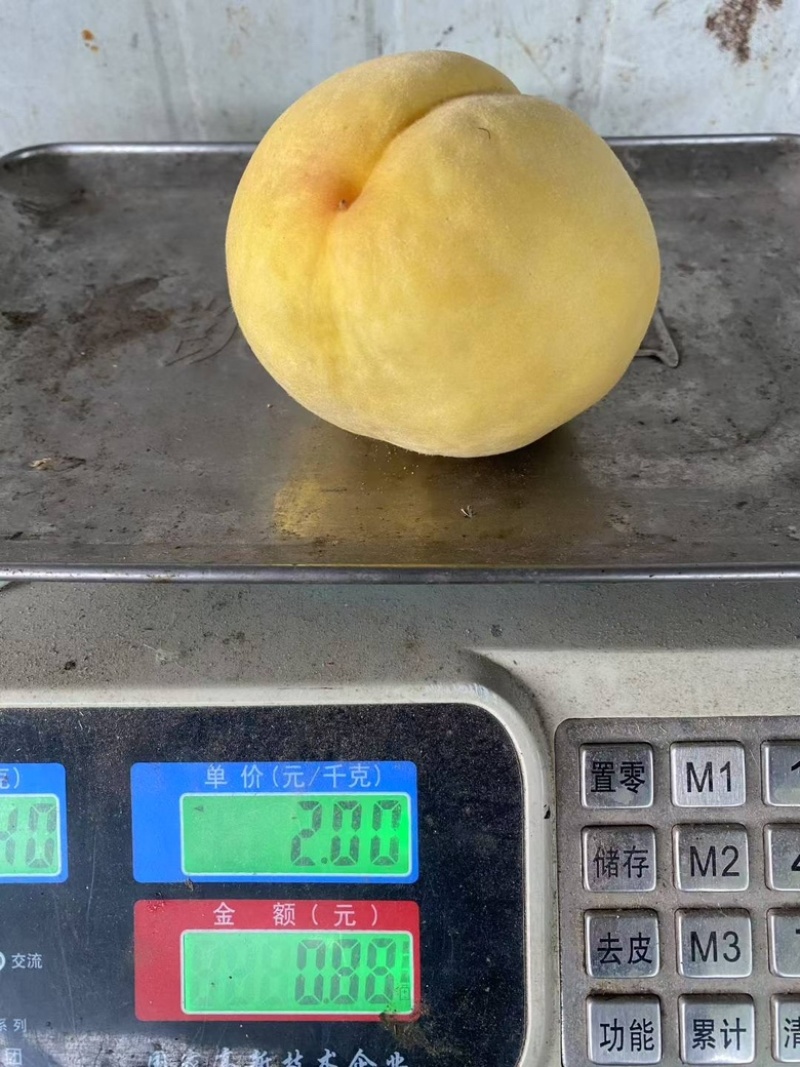 锦绣黄桃