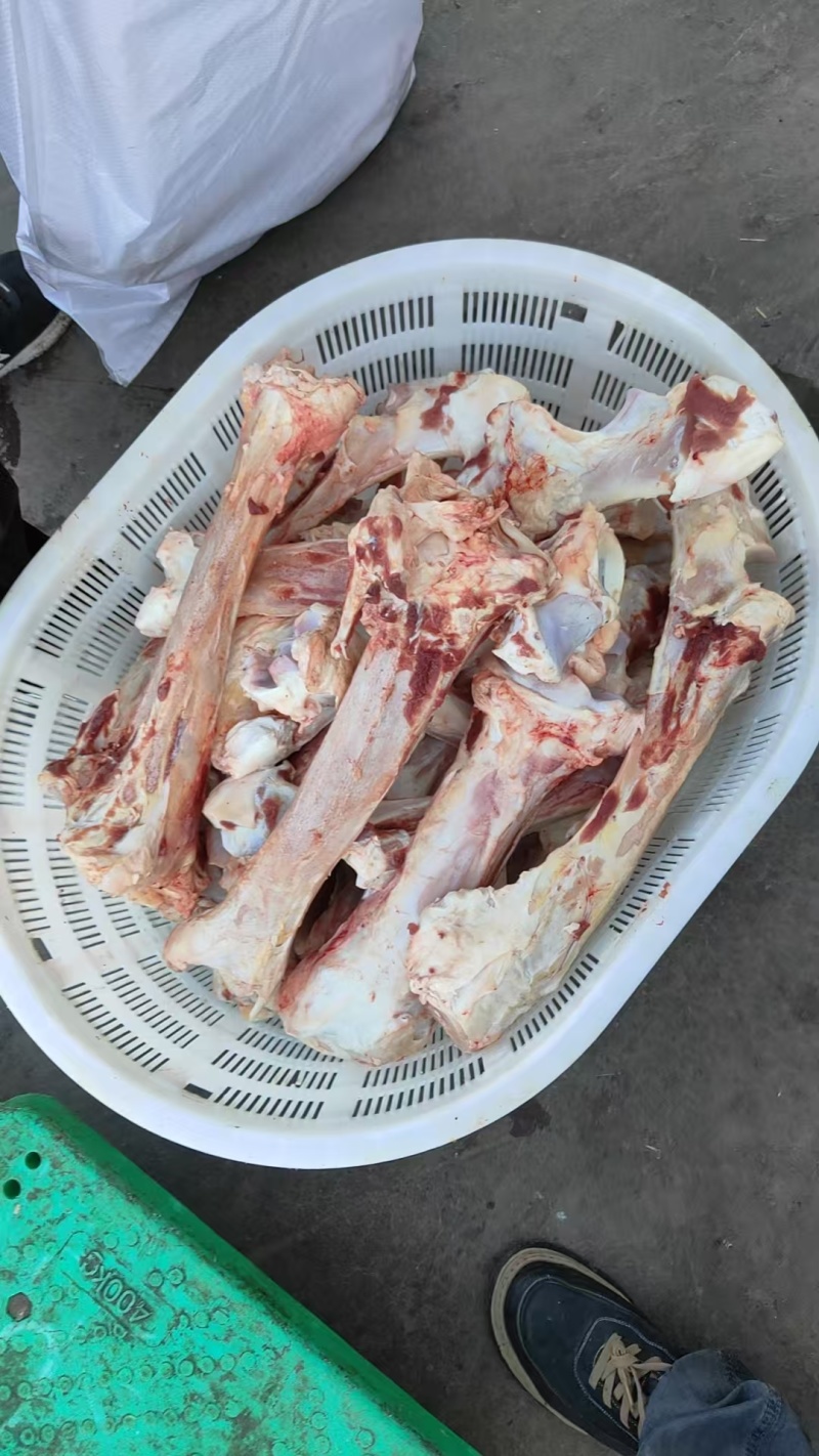 【牛棒骨】黄牛的干棒骨！八棒速冻！袋装不是标件！全国发货