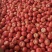 虎三往上精品***********