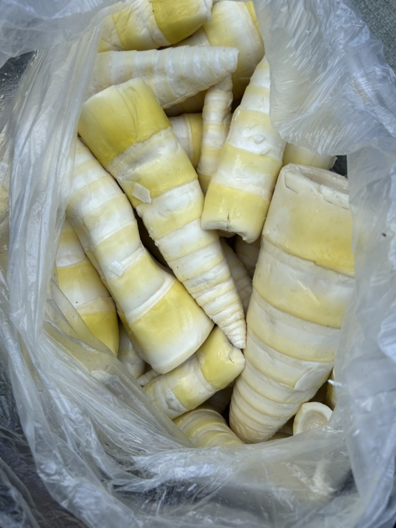 英德黄笋尾，麻竹笋尾