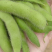 大名县翠绿宝饱满毛豆大量现货