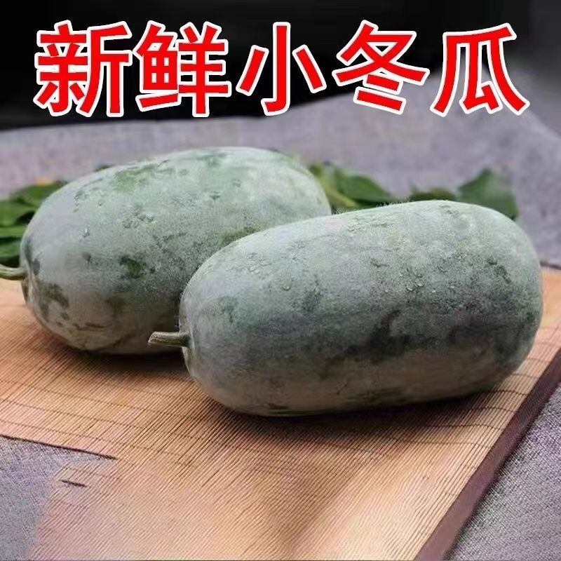 河南产区水果小冬瓜，上午采摘，下午发车