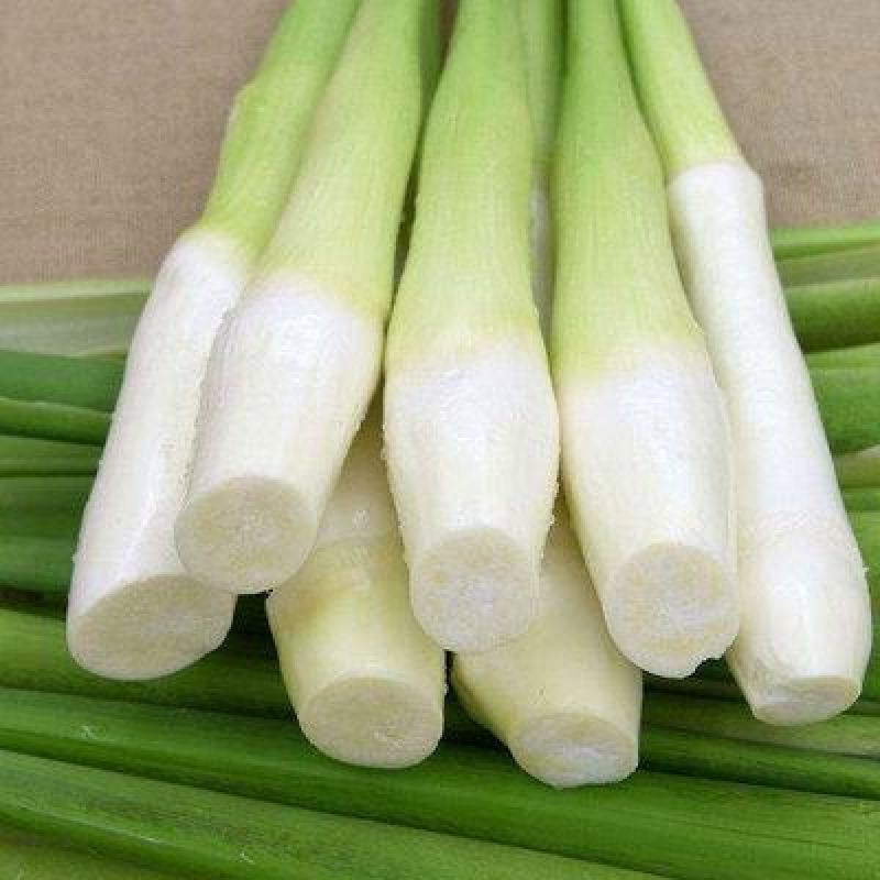 浙江茭白出货平稳