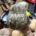 板栗南瓜.贝贝.金瓜.银瓜出口品质.出口中亚，马来等