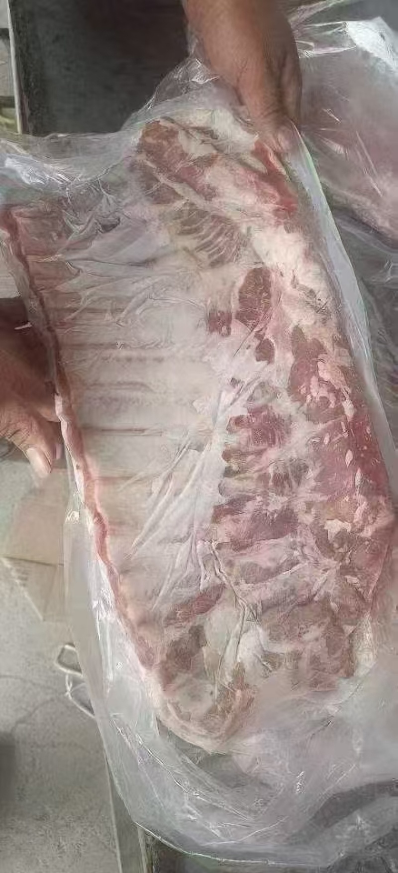 国产猪肋排