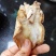 福建笋衣，便宜笋衣