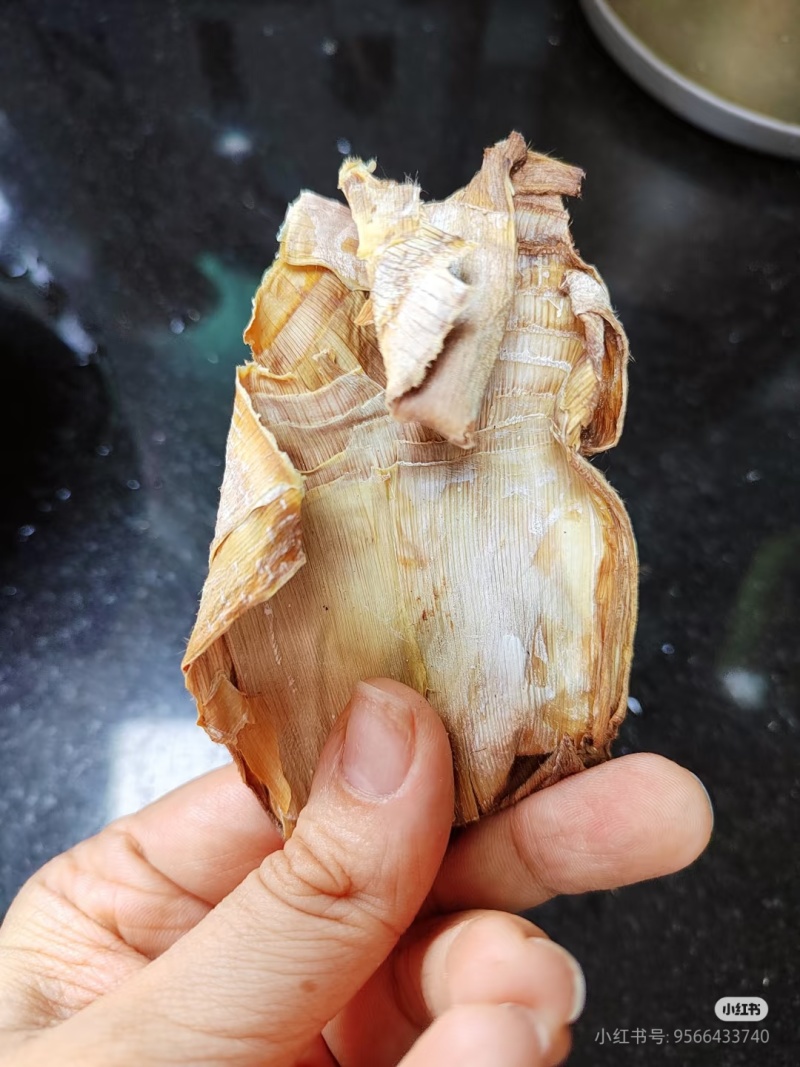 福建笋衣，便宜笋衣