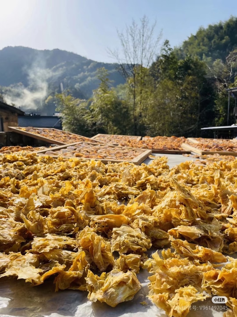 福建笋衣，便宜笋衣