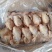 二级三黄鸡
