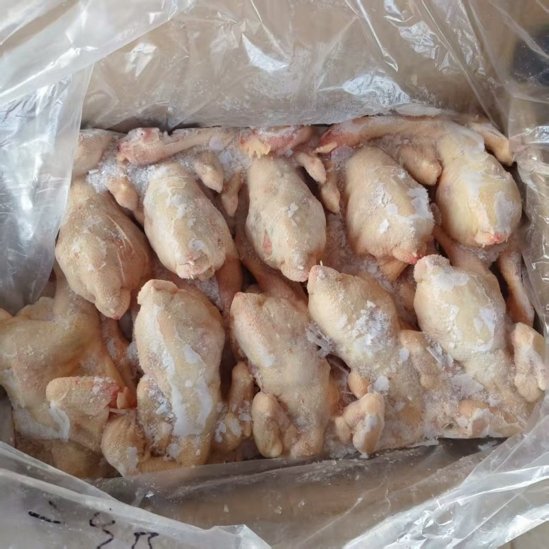 二级三黄鸡
