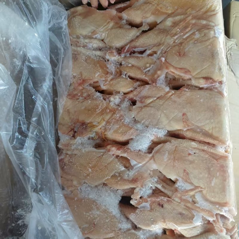 二级三黄鸡