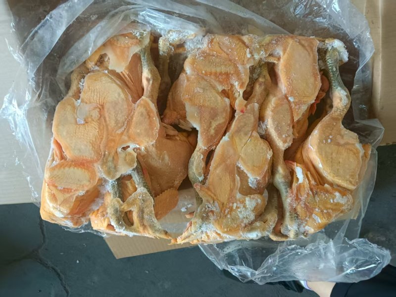 黑风公鸡